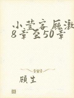 小莹客厅激情38章至50章封面