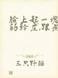 脸上起一块一块的干皮,跟癣一样是怎么回事