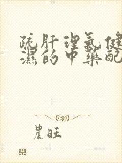 疏肝理气健脾祛湿的中药配方