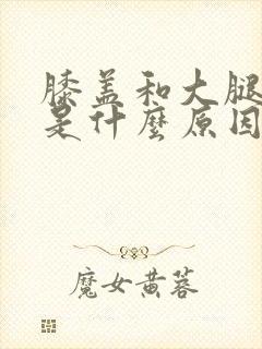 膝盖和大腿酸痛是什么原因封面