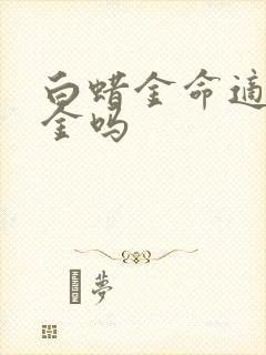 白蜡金命适合戴金吗