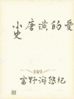 小唐璜的爱情历史封面