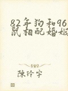82年狗和96鼠相配婚姻如何