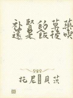 补肾的草药饭前还是饭后吃