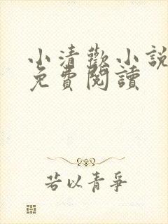 小清欢小说全文免费阅读