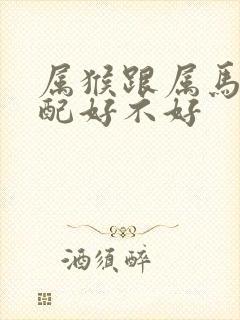 属猴跟属马的婚配好不好