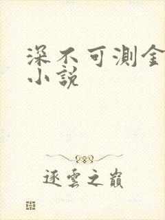 深不可测金银花小说封面