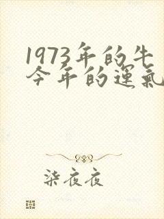 1973年的牛今年的运气封面