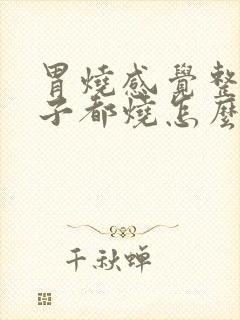 胃烧感觉整个肚子都烧怎么回事封面