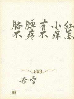 胳膊有小红点点不疼不痒怎么回事封面