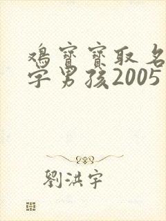 鸡宝宝取名宜用字男孩2005