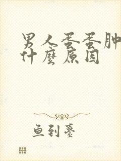 男人蛋蛋肿疼是什么原因