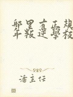 哪里有正规青少年叛逆学校