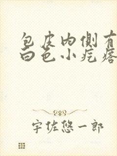 包皮内侧有一排白色小疙瘩