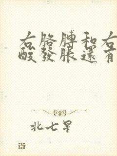 右胳膊和右腿发酸发胀还有点发麻封面