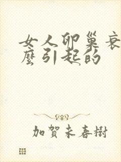女人卵巢衰退怎么引起的