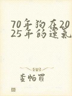 70年狗在2025年的运气