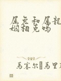 属兔和属龙的婚姻相克吗