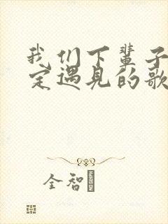 我们下辈子不一定遇见的歌词