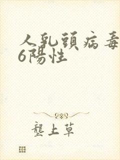 人乳头病毒 16阳性