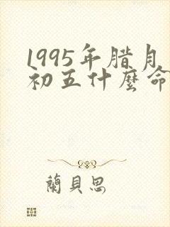 1995年腊月初五什么命封面