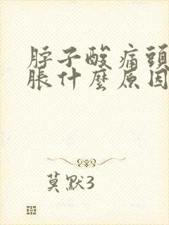 脖子酸痛头晕脑胀什么原因封面