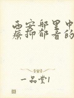 西安哪里中医治疗抑郁看的好封面