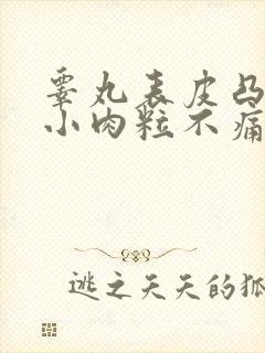 睾丸表皮凸起的小肉粒不痛不痒