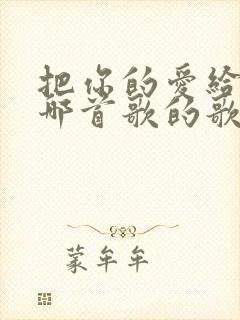 把你的爱给我是哪首歌的歌词