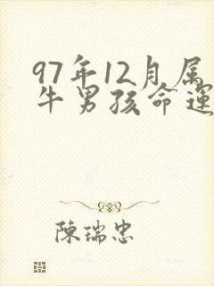 97年12月属牛男孩命运