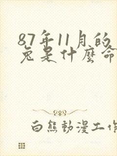 87年11月的兔是什么命