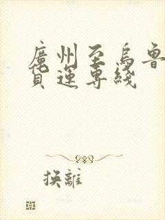 广州至乌鲁木齐货运专线封面