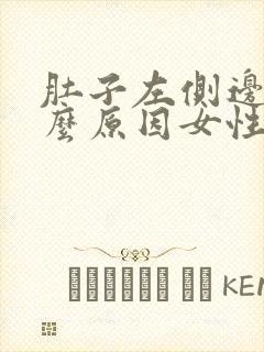 肚子左侧边痛什么原因女性
