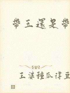 带玉还是带翡翠封面