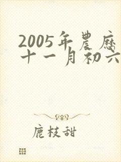 2005年农历十一月初六出生的人命运