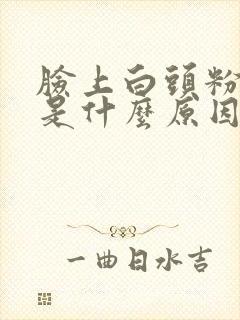 脸上白头粉刺多是什么原因