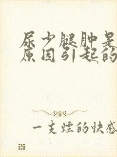 尿少腿肿是什么原因引起的