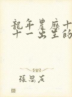 龙年农历十一月十一出生的人命运