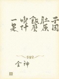 一吃饭肚子胀气是什么原因