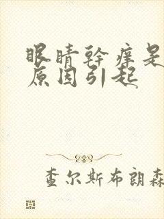 眼睛干痒是什么原因引起
