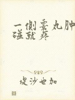 一侧睾丸肿大一碰就疼