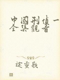 中国刑侦一号案全集观看