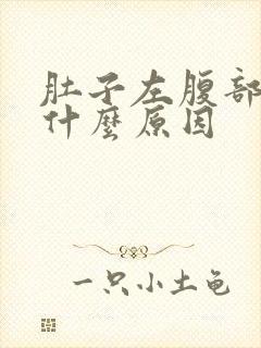 肚子左腹部疼痛什么原因封面