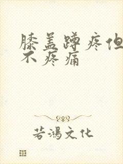膝盖蹲疼但走路不疼痛封面