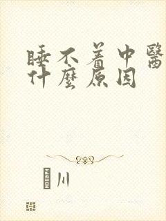 睡不着中医上是什么原因