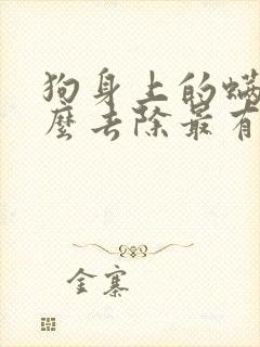 狗身上的螨虫怎么去除最有效方法