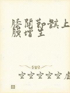 膝关节髌上囊滑膜增生
