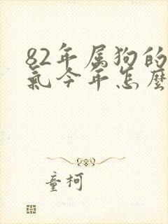 82年属狗的运气今年怎么样