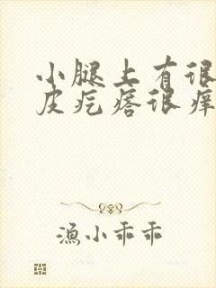 小腿上有很多鸡皮疙瘩很痒