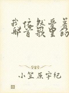 我依然爱着你是哪首歌里的歌词